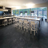 Polyflor Expona Commercial PUR India Ink Slate 5056