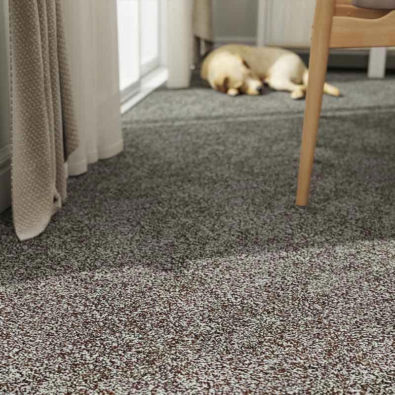 Spaces Inspired Abyss Broadloom Carpet - DCTUK