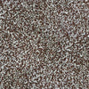 Spaces Inspired Afternoon Harvest Broadloom Carpet - DCTUK