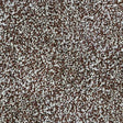 Spaces Inspired Afternoon Harvest Broadloom Carpet - DCTUK