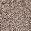 Spaces Inspired Biscuit Beige Broadloom Carpet - DCTUK