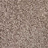 Spaces Inspired Biscuit Beige Broadloom Carpet - DCTUK
