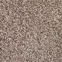 Spaces Inspired Biscuit Beige Broadloom Carpet