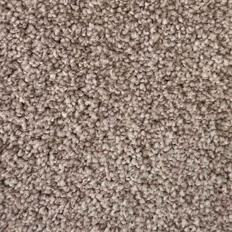 Spaces Inspired Biscuit Beige Broadloom Carpet - DCTUK