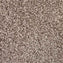 Spaces Inspired Biscuit Beige Broadloom Carpet - DCTUK