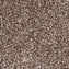 Spaces Inspired Caramel Haze Broadloom Carpet - DCTUK