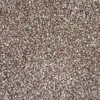 Spaces Inspired Dusted Taupe Broadloom Carpet