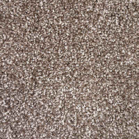 Spaces Inspired Dusted Taupe Broadloom Carpet - DCTUK