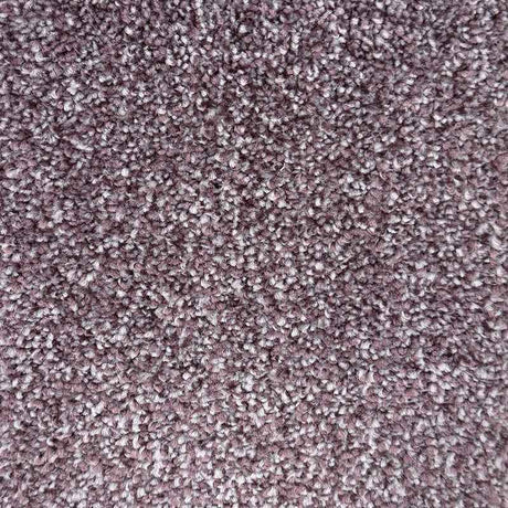 Spaces Inspired Fallen Berry Broadloom Carpet - DCTUK