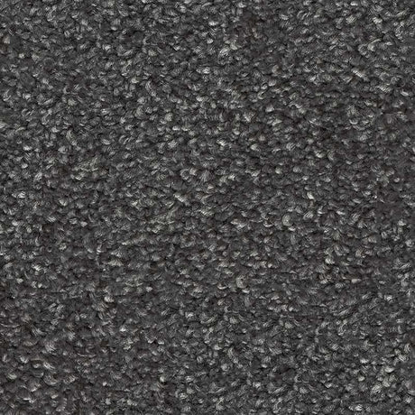 Spaces Inspired Pigeon Feather Broadloom Carpet - DCTUK