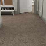 Spaces Original Elephant Grey Broadloom Carpet - DCTUK