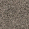 Spaces Original Infused Mink Broadloom Carpet - DCTUK