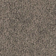 Spaces Original Infused Mink Broadloom Carpet - DCTUK