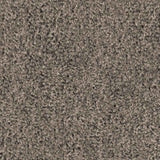 Spaces Original Infused Mink Broadloom Carpet - DCTUK