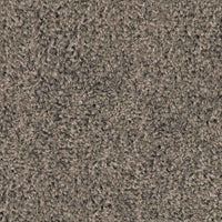 Spaces Original Infused Mink Broadloom Carpet