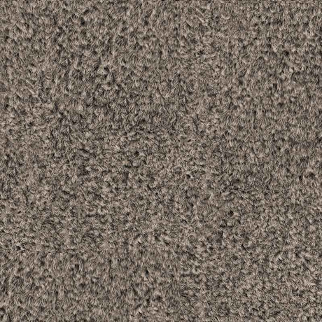 Spaces Original Infused Mink Broadloom Carpet - DCTUK