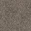 Spaces Original Infused Mink Broadloom Carpet - DCTUK