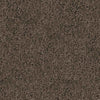 Spaces Original Warm Cocoa Broadloom Carpet - DCTUK