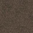 Spaces Original Warm Cocoa Broadloom Carpet - DCTUK
