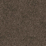 Spaces Original Warm Cocoa Broadloom Carpet - DCTUK