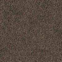 Spaces Original Warm Cocoa Broadloom Carpet