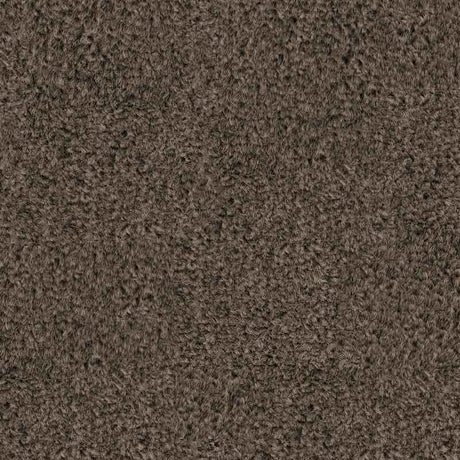 Spaces Original Warm Cocoa Broadloom Carpet - DCTUK