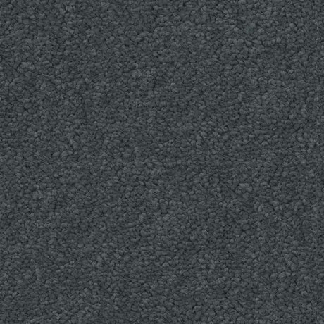 Spaces Signature Adriatic Coast Broadloom Carpet - DCTUK