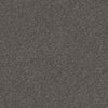 Spaces Signature Alloy Broadloom Carpet - DCTUK