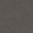 Spaces Signature Alloy Broadloom Carpet - DCTUK