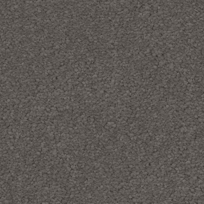 Spaces Signature Alloy Broadloom Carpet - DCTUK