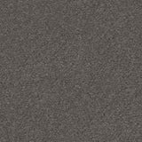 Spaces Signature Alloy Broadloom Carpet - DCTUK