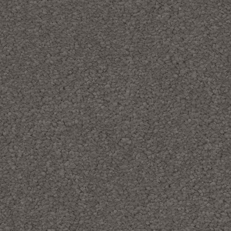 Spaces Signature Alloy Broadloom Carpet - DCTUK