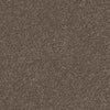 Spaces Signature Earth Greige Broadloom Carpet - DCTUK