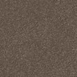 Spaces Signature Earth Greige Broadloom Carpet - DCTUK