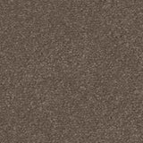 Spaces Signature Earth Greige Broadloom Carpet - DCTUK