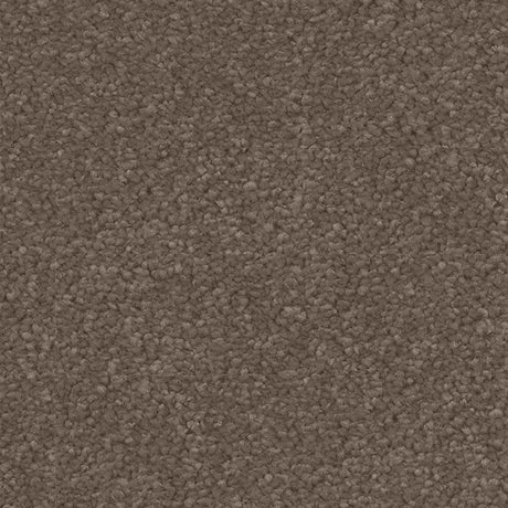 Spaces Signature Earth Greige Broadloom Carpet - DCTUK