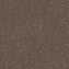 Spaces Signature Earth Greige Broadloom Carpet - DCTUK