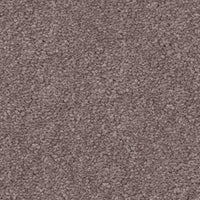 Spaces Signature Grounded Mushroom Broadloom Carpet