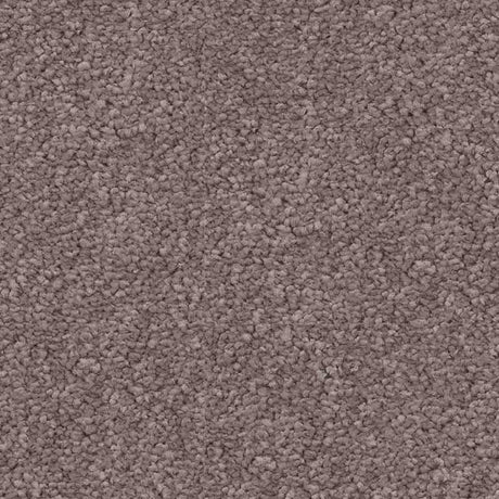Spaces Signature Grounded Mushroom Broadloom Carpet - DCTUK