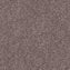 Spaces Signature Grounded Mushroom Broadloom Carpet - DCTUK