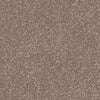 Spaces Signature Oat & Barley Broadloom Carpet - DCTUK
