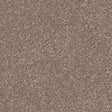 Spaces Signature Oat & Barley Broadloom Carpet - DCTUK