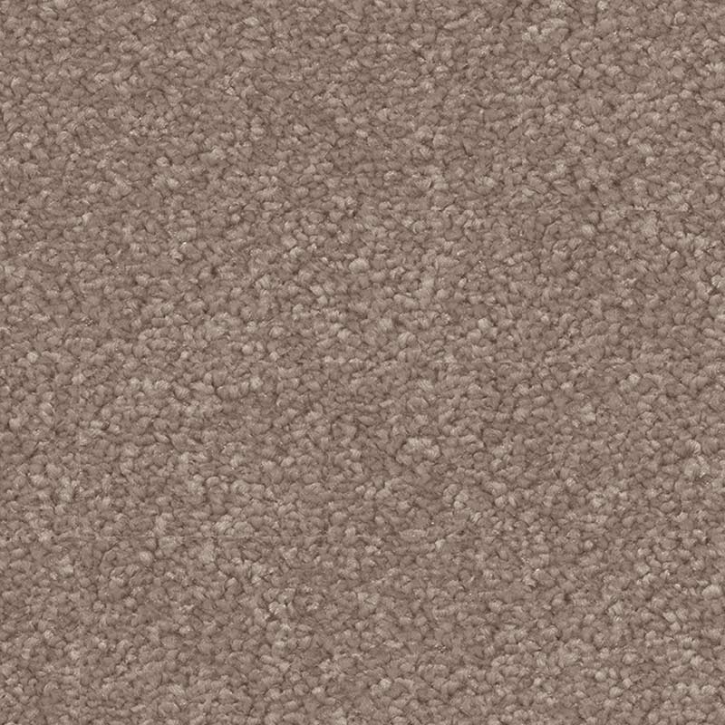 Spaces Signature Oat & Barley Broadloom Carpet - DCTUK