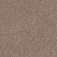 Spaces Signature Oat & Barley Broadloom Carpet