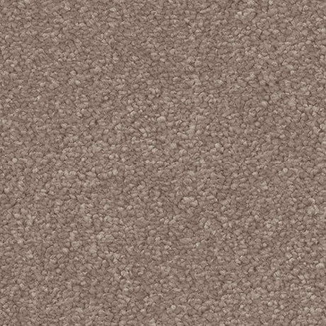 Spaces Signature Oat & Barley Broadloom Carpet - DCTUK