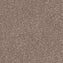Spaces Signature Oat & Barley Broadloom Carpet - DCTUK