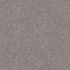 Spaces Signature Penthouse Fog Broadloom Carpet - DCTUK