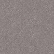Spaces Signature Penthouse Fog Broadloom Carpet - DCTUK