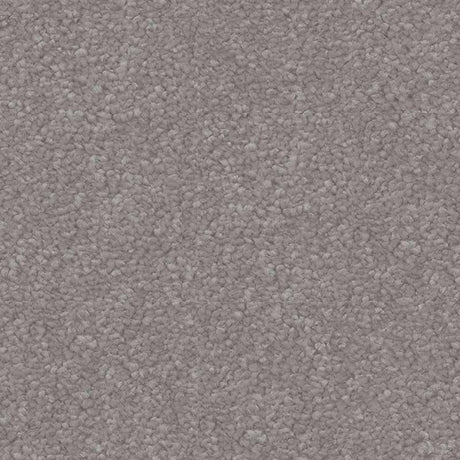 Spaces Signature Penthouse Fog Broadloom Carpet - DCTUK