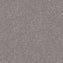 Spaces Signature Penthouse Fog Broadloom Carpet - DCTUK